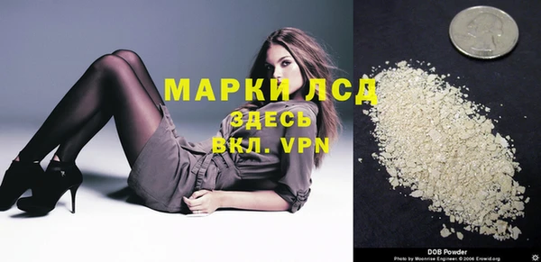 хмурый Алексин