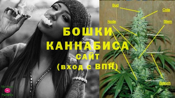 PSILOCYBIN Алзамай