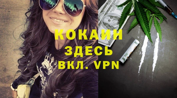 хмурый Алексин