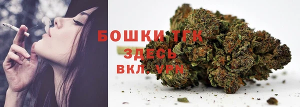 PSILOCYBIN Алзамай