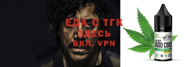 хмурый Алексин