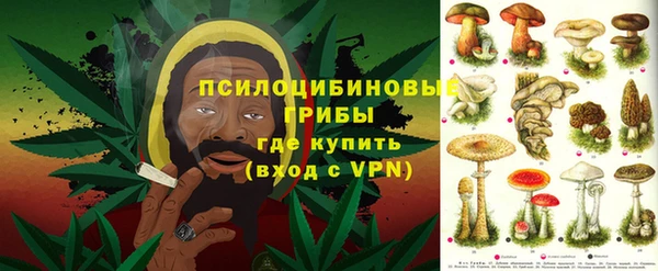 хмурый Алексин