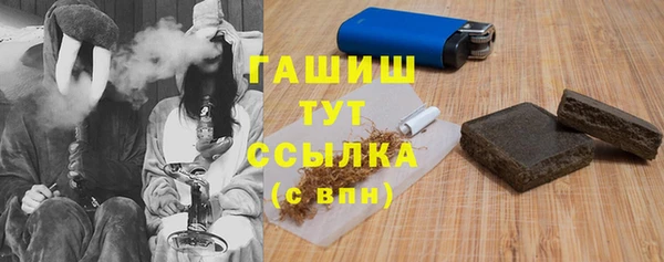 PSILOCYBIN Алзамай