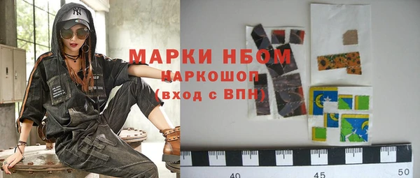 хмурый Алексин