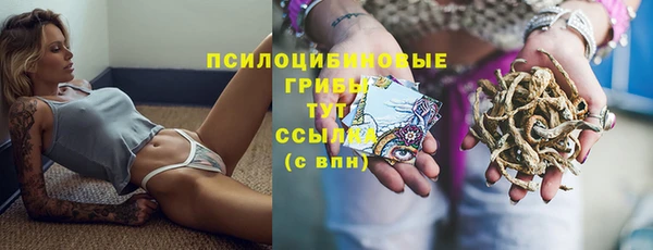 PSILOCYBIN Алзамай