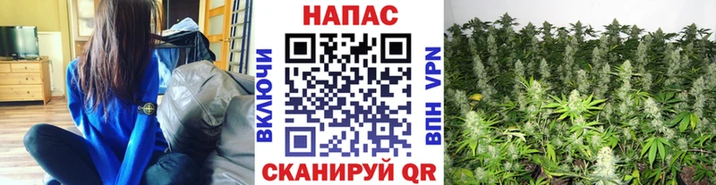 Бошки Шишки Amnesia  продажа наркотиков  Бийск 